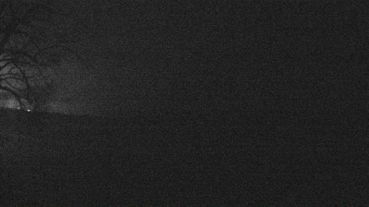 Weather camera view of Forest Lawn Beach.