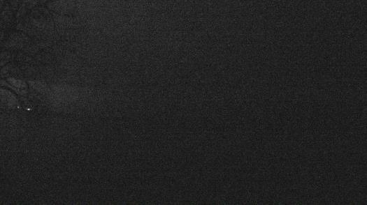 Weather camera view of Forest Lawn Beach.