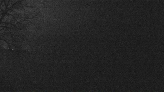 Weather camera view of Forest Lawn Beach.