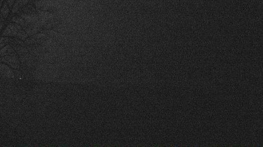 Weather camera view of Forest Lawn Beach.