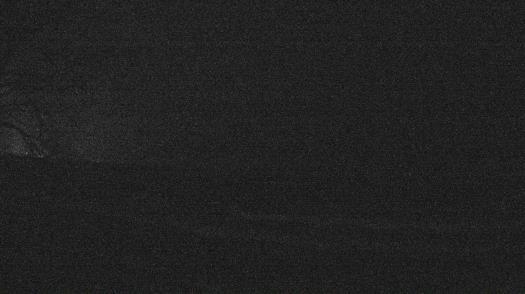 Weather camera view of Forest Lawn Beach.