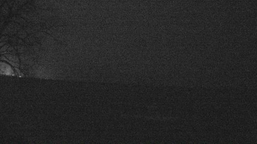 Weather camera view of Forest Lawn Beach.