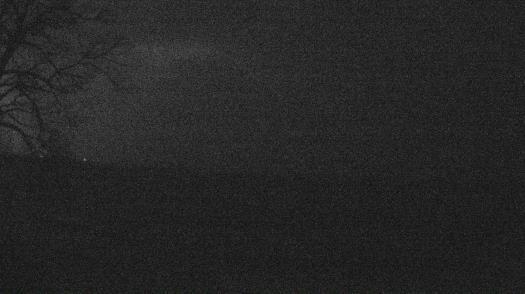 Weather camera view of Forest Lawn Beach.