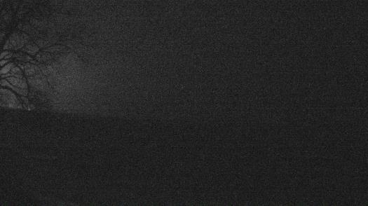 Weather camera view of Forest Lawn Beach.