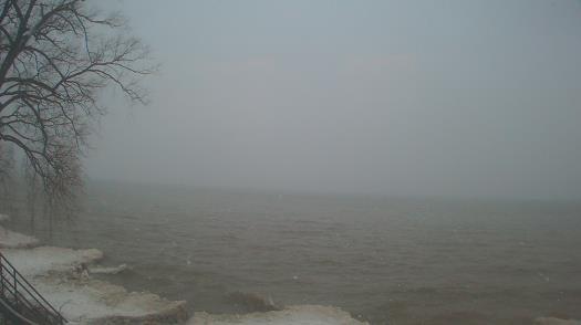 Weather camera view of Forest Lawn Beach.