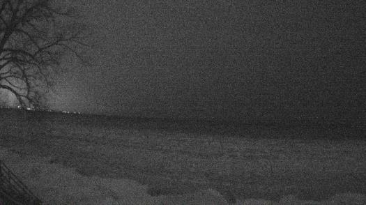 Weather camera view of Forest Lawn Beach.