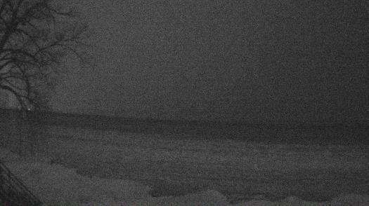 Weather camera view of Forest Lawn Beach.