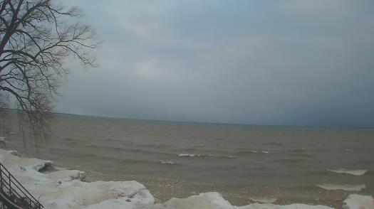 Weather camera view of Forest Lawn Beach.