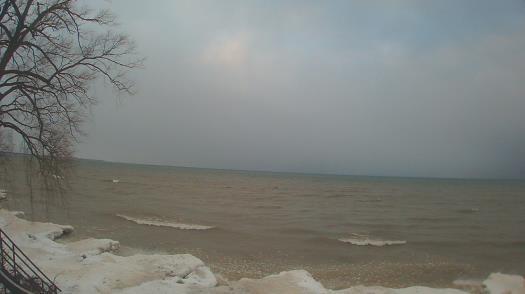 Weather camera view of Forest Lawn Beach.