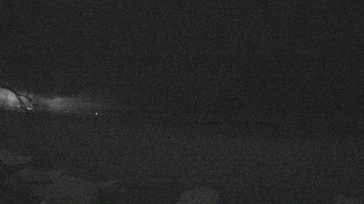Weather camera view of Forest Lawn Beach.