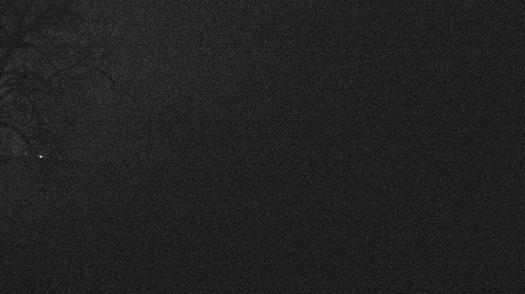 Weather camera view of Forest Lawn Beach.