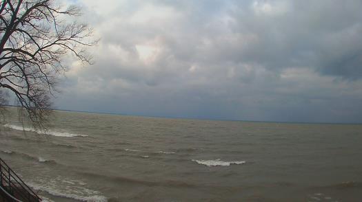 Weather camera view of Forest Lawn Beach.