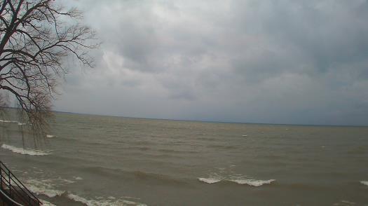 Weather camera view of Forest Lawn Beach.