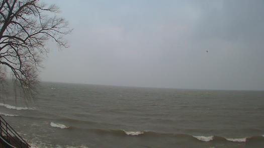Weather camera view of Forest Lawn Beach.