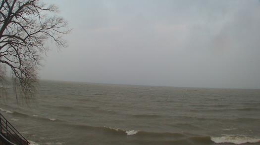 Weather camera view of Forest Lawn Beach.