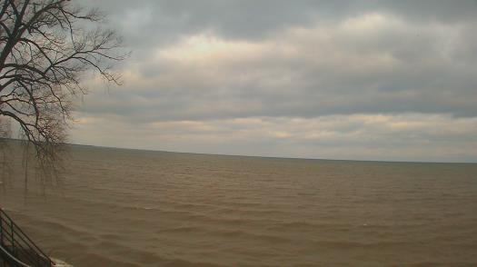 Weather camera view of Forest Lawn Beach.