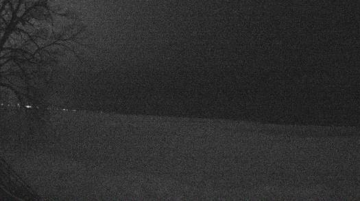 Weather camera view of Forest Lawn Beach.