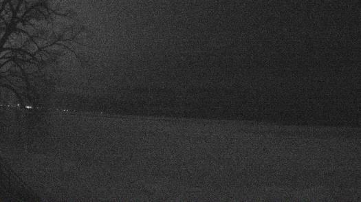 Weather camera view of Forest Lawn Beach.