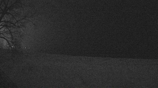 Weather camera view of Forest Lawn Beach.