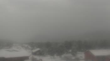 Weather camera view of Woodland Park Public Library.