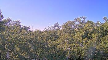 Weather camera view of Metairie Club Gardens.