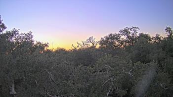 Weather camera view of Metairie Club Gardens.