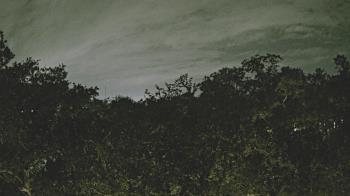 Weather camera view of Metairie Club Gardens.