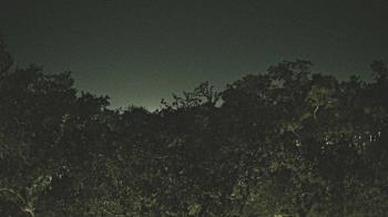 Weather camera view of Metairie Club Gardens.