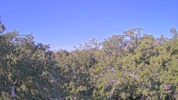 Weather camera view of Metairie Club Gardens.