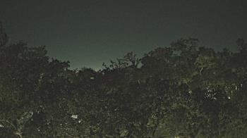 Weather camera view of Metairie Club Gardens.