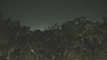 Weather camera view of Metairie Club Gardens.