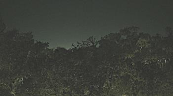 Weather camera view of Metairie Club Gardens.