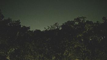 Weather camera view of Metairie Club Gardens.