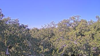 Weather camera view of Metairie Club Gardens.