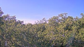 Weather camera view of Metairie Club Gardens.