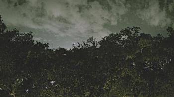 Weather camera view of Metairie Club Gardens.