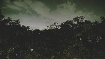 Weather camera view of Metairie Club Gardens.