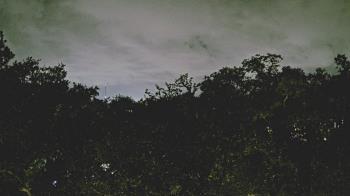 Weather camera view of Metairie Club Gardens.