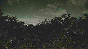 Weather camera view of Metairie Club Gardens.