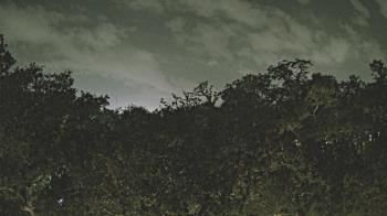 Weather camera view of Metairie Club Gardens.