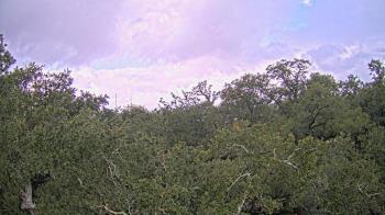 Weather camera view of Metairie Club Gardens.