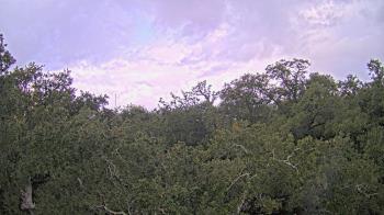 Weather camera view of Metairie Club Gardens.