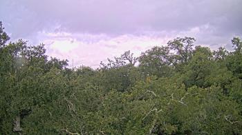 Weather camera view of Metairie Club Gardens.