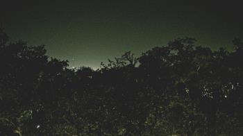 Weather camera view of Metairie Club Gardens.