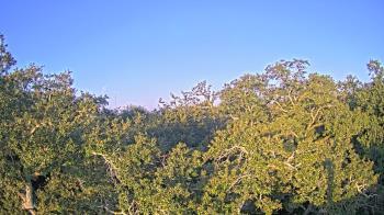 Weather camera view of Metairie Club Gardens.