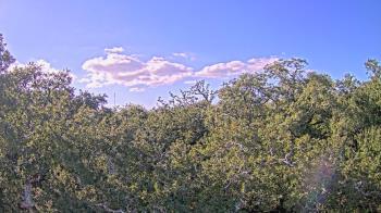 Weather camera view of Metairie Club Gardens.