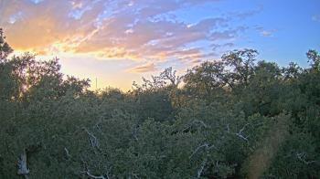 Weather camera view of Metairie Club Gardens.