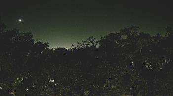 Weather camera view of Metairie Club Gardens.