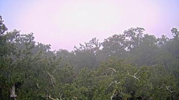 Weather camera view of Metairie Club Gardens.