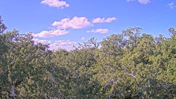 Weather camera view of Metairie Club Gardens.